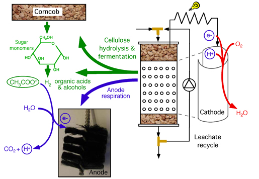 Microbial fuel cells diagram