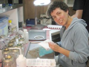 Dr. Judith Perlinger Diporeia Lab Work
