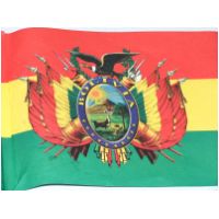 59_Bolivian_Flag.jpg